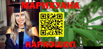 индика Можайск