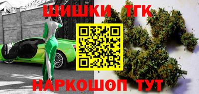 индика Можайск