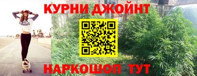 индика Можайск