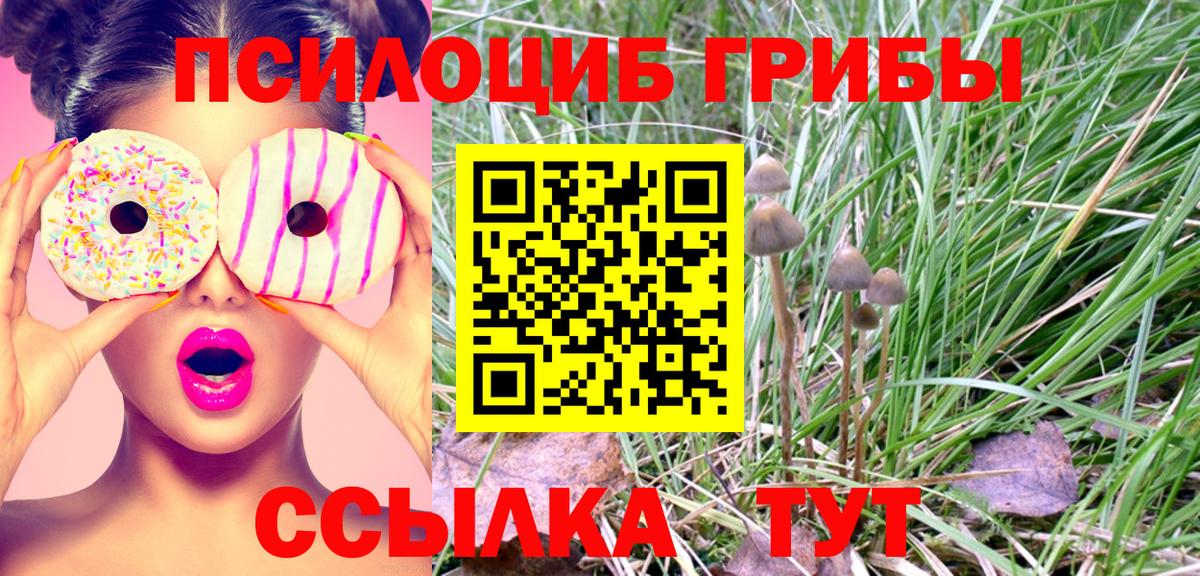 Галлюциногенные грибы Cubensis Якутск